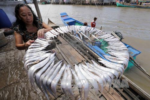 Rà soát, tích hợp chính sách giảm nghèo ảnh 2